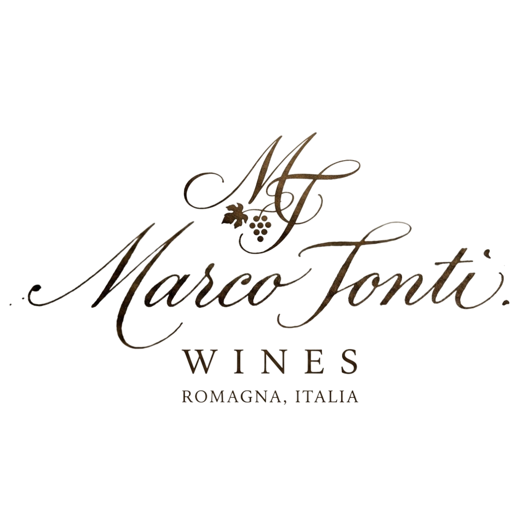 Logo completo Marco Tonti